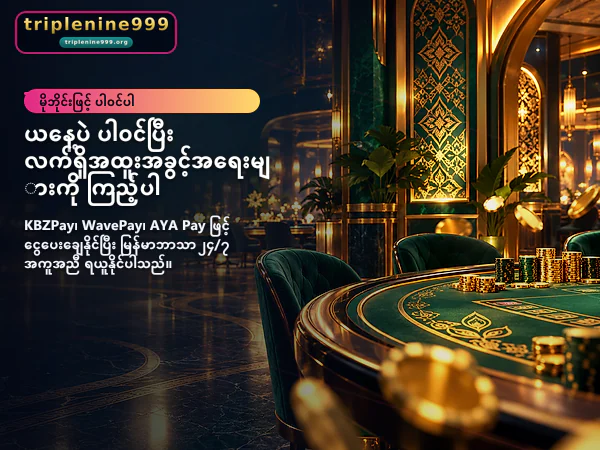 ပင်မစာမျက်နှာပုံ ၁