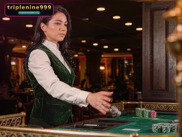 MT Live Casino ပုံ ၃